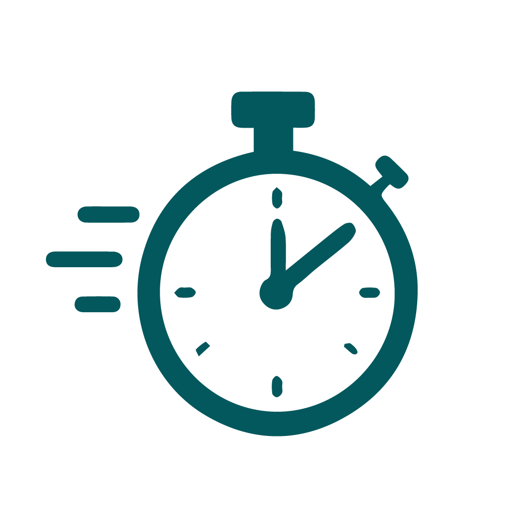 Fast Project Execution