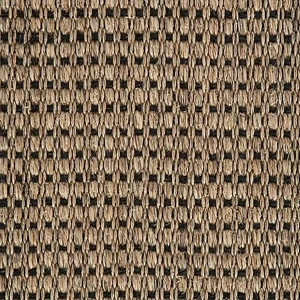 Panama New Champagne Black