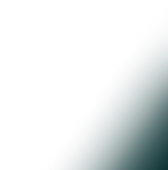 Rectangle 3